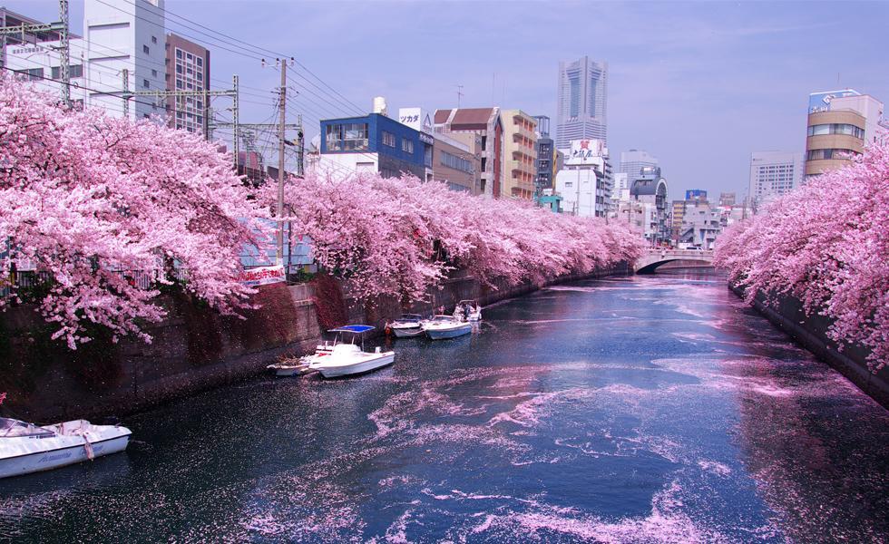 大阪市Junfukuyaアパートメント エクステリア 写真